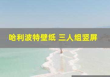 哈利波特壁纸 三人组竖屏